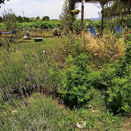 La Gallinella Rossa Bed & Breakfast Baschi