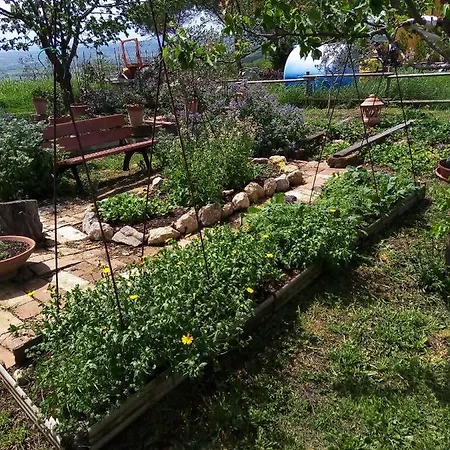 La Gallinella Rossa