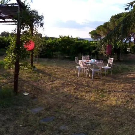 La Gallinella Rossa * Baschi