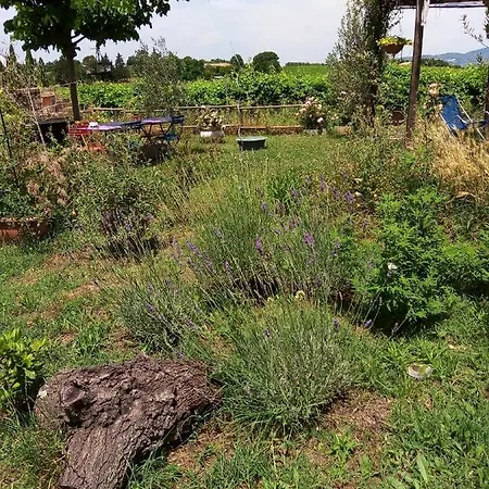 La Gallinella Rossa Отель типа 