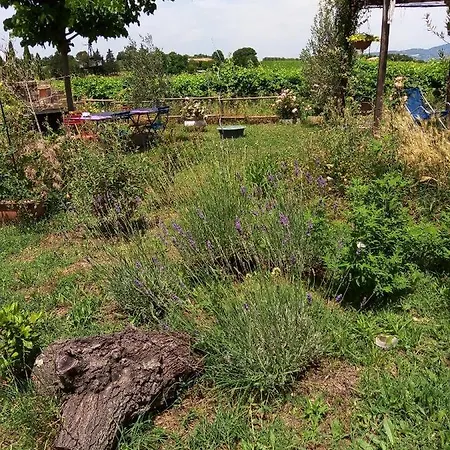 La Gallinella Rossa Bed & Breakfast
