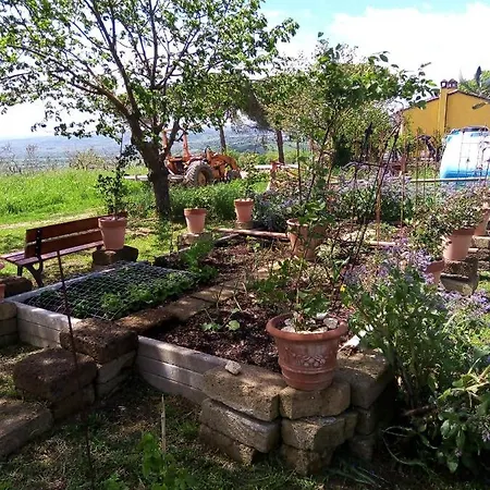 La Gallinella Rossa *