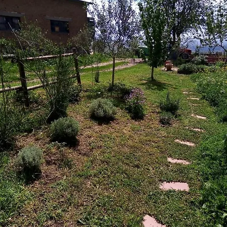 La Gallinella Rossa * Baschi
