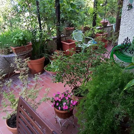 La Gallinella Rossa Bed & Breakfast