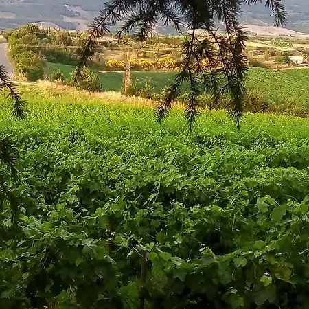 Bed & Breakfast La Gallinella Rossa Baschi
