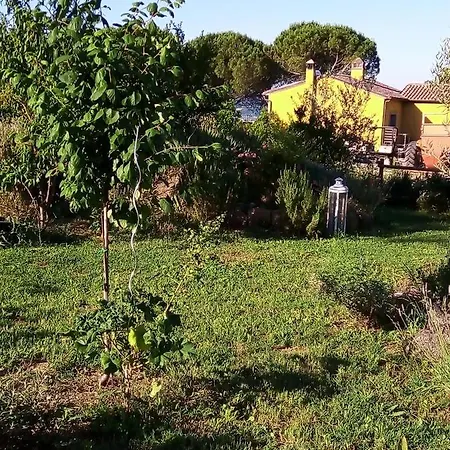 La Gallinella Rossa *