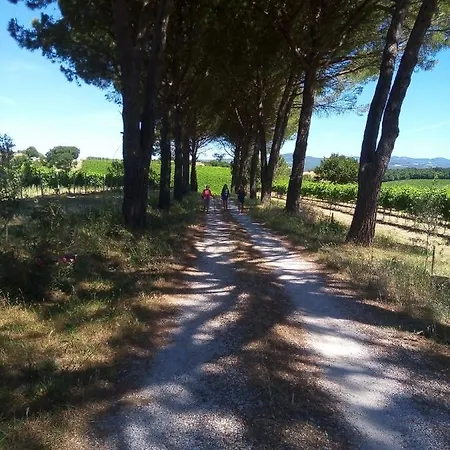 Bed & Breakfast La Gallinella Rossa