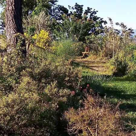 La Gallinella Rossa Отель типа 